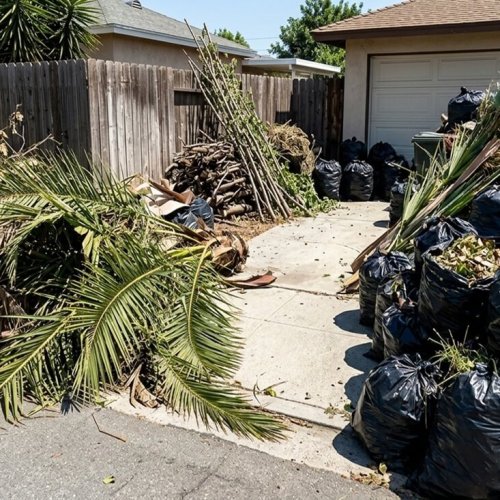 Clear Out Yard Debris