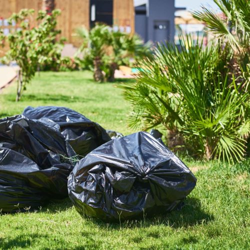 Garbage Removal Escondido